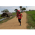 Team 57 / Raid Amazones Sri Lanka 2018 - J1 Trail