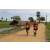 Team 74 / Raid Amazones Sri Lanka 2018 - J1 Trail