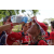 Team 129 / Raid Amazones Sri Lanka 2018 - J1 Trail