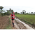 Team 141 / Raid Amazones Sri Lanka 2018 - J1 Trail