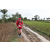 Team 141 / Raid Amazones Sri Lanka 2018 - J1 Trail