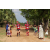 Team 36 / Raid Amazones Sri Lanka 2018 - J1 Trail
