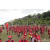 Team 64 / Raid Amazones Sri Lanka 2018 - J1 Trail