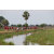 Raid Amazones Sri Lanka 2018 - J1 Trail