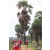 Raid Amazones Sri Lanka 2018 - J1 Trail