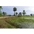 Raid Amazones Sri Lanka 2018 - J1 Trail