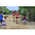 Team 49 / Raid Amazones Sri Lanka 2018 - J1 Trail