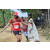 Team 57 / Raid Amazones Sri Lanka 2018 - J1 Trail