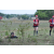 Raid Amazones Sri Lanka 2018 - J1 Trail