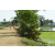 Raid Amazones Sri Lanka 2018 - J1 Trail