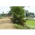Team 02 / Raid Amazones Sri Lanka 2018 - J1 Trail