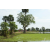 Raid Amazones Sri Lanka 2018 - J1 Trail