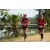 Team 04 / Raid Amazones Sri Lanka 2018 - J1 Trail