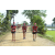 Team 118 / Raid Amazones Sri Lanka 2018 - J1 Trail