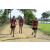 Team 118 / Raid Amazones Sri Lanka 2018 - J1 Trail