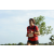 Team 119 / Raid Amazones Sri Lanka 2018 - J1 Trail