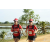 Team 27 / Raid Amazones Sri Lanka 2018 - J1 Trail