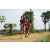 Team 66 / Raid Amazones Sri Lanka 2018 - J1 Trail