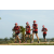Team 58 / Raid Amazones Sri Lanka 2018 - J1 Trail