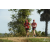 Team 42 / Raid Amazones Sri Lanka 2018 - J1 Trail