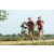 Team 78 / Raid Amazones Sri Lanka 2018 - J1 Trail