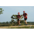 Team 43 / Raid Amazones Sri Lanka 2018 - J1 Trail