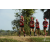 Team 71 / Raid Amazones Sri Lanka 2018 - J1 Trail