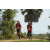 Team 57 / Raid Amazones Sri Lanka 2018 - J1 Trail