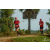 Team 60 / Raid Amazones Sri Lanka 2018 - J1 Trail