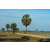 Raid Amazones Sri Lanka 2018 - J1 Trail