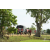 Raid Amazones Sri Lanka 2018 - J1 Trail