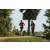 Team 63 / Raid Amazones Sri Lanka 2018 - J1 Trail