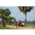 Raid Amazones Sri Lanka 2018 - J1 Trail