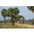 Raid Amazones Sri Lanka 2018 - J1 Trail
