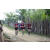 Team 112 / Raid Amazones Sri Lanka 2018 - J1 Trail