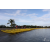 Raid Amazones Sri Lanka 2018 - J2 Canoe
