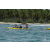 Team 141 / Raid Amazones Sri Lanka 2018 - J2 Canoe