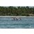 Team 141 / Raid Amazones Sri Lanka 2018 - J2 Canoe
