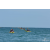 Raid Amazones Sri Lanka 2018 - J2 Canoe