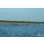 Raid Amazones Sri Lanka 2018 - J2 Canoe
