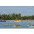 Raid Amazones Sri Lanka 2018 - J2 Canoe