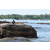 Raid Amazones Sri Lanka 2018 - J2 Canoe