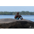 Raid Amazones Sri Lanka 2018 - J2 Canoe