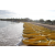 Raid Amazones Sri Lanka 2018 - J2 Canoe