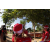 Raid Amazones Sri Lanka 2018 - J2 Canoe