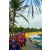 Raid Amazones Sri Lanka 2018 - J2 Canoe