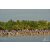 Raid Amazones Sri Lanka 2018 - J2 Canoe