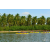 Raid Amazones Sri Lanka 2018 - J2 Canoe