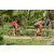 Team 49 / Raid Amazones Sri Lanka 2018 - J3 VTT