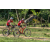Team 10 / Raid Amazones Sri Lanka 2018 - J3 VTT